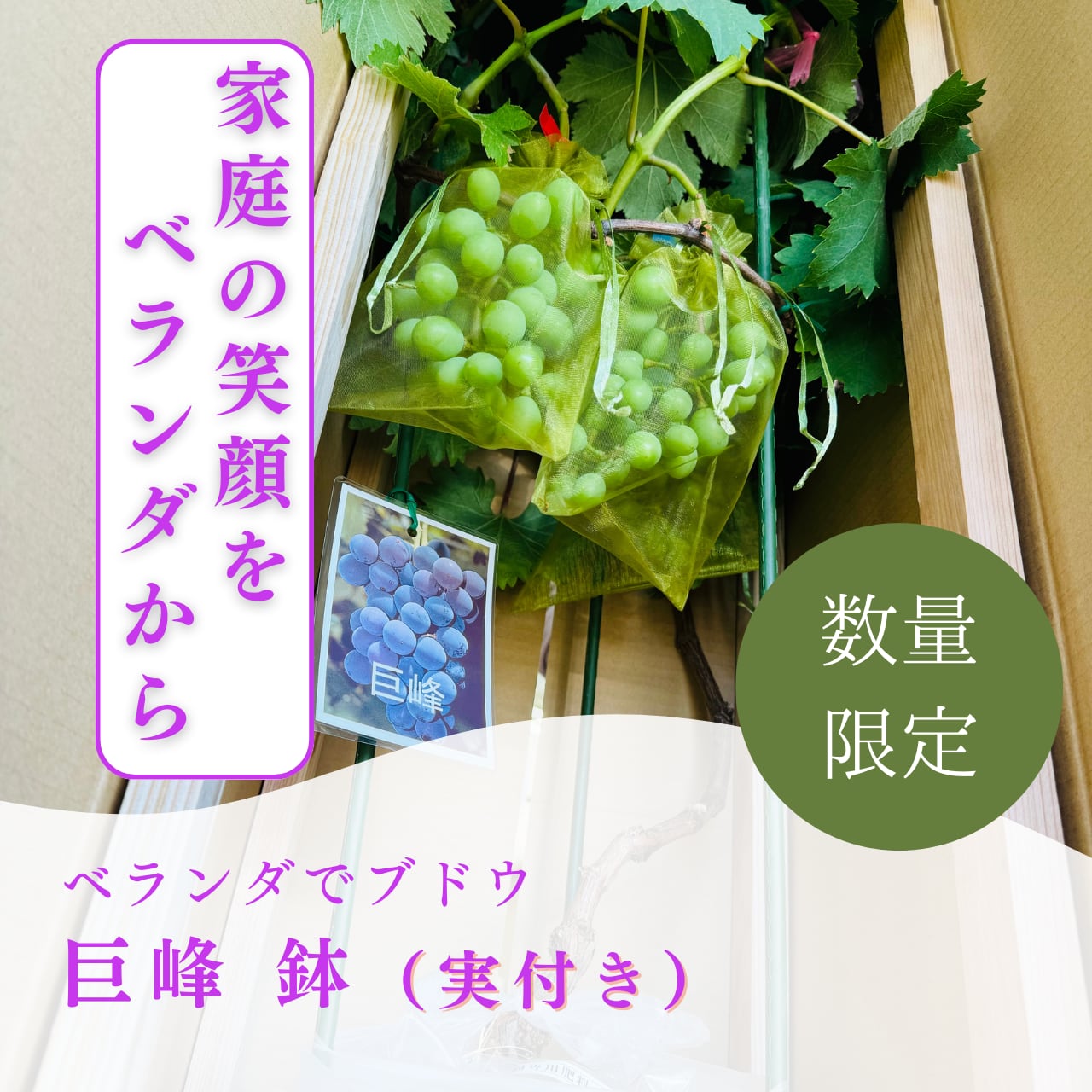 a9a39e604f416a4612ada23aee3a2a