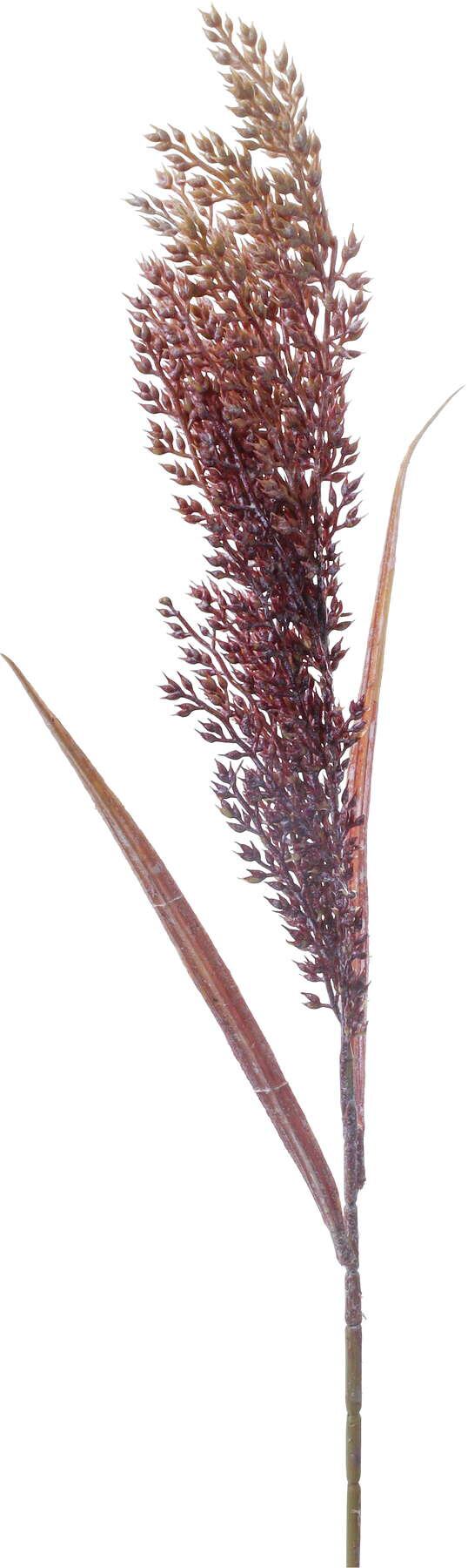 カラーパンパス　パープル系　FG-5192LAV　4961823425639　造花（アーティフィシャルフラワー） > 定番造花グリーン（素材）