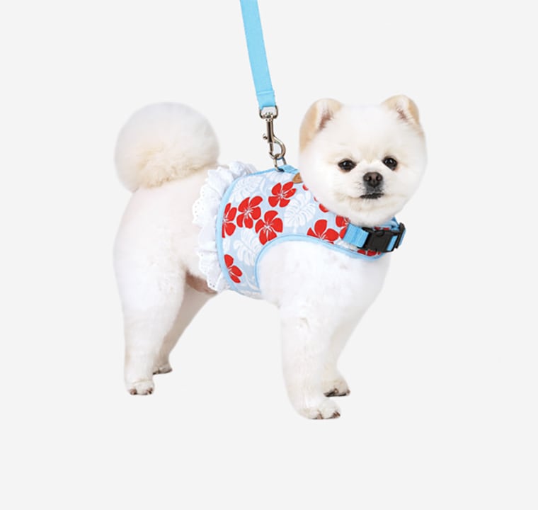 花柄ハーネス&リードセット S ~ L  2color   /   犬 犬用 ハーネス 小型犬 中型犬 ドッグウェア ペット用品 胴輪　ha1