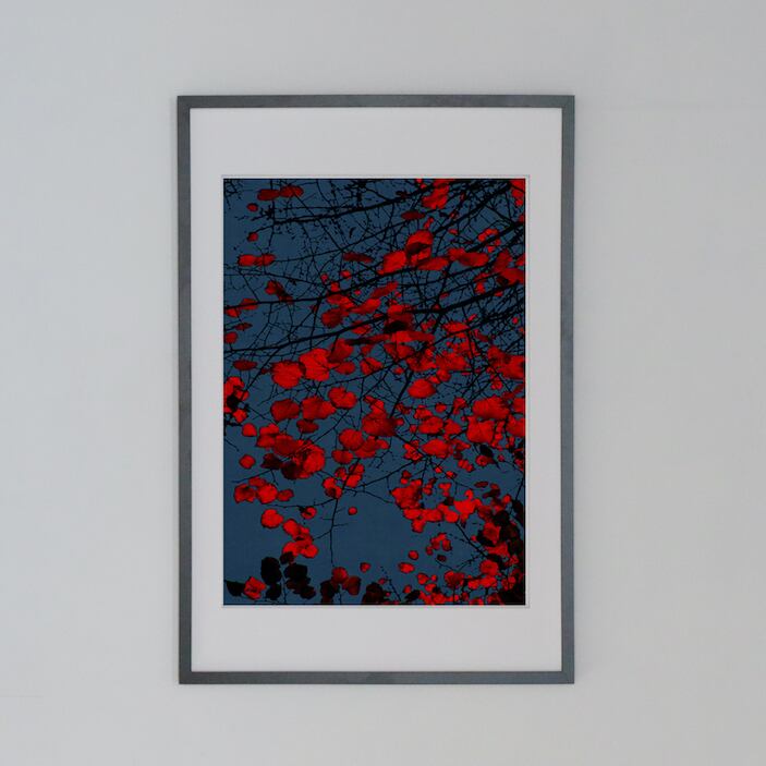 Eva Chupikova #1 Print (black wooden frame 61㎝ × 91㎝付き)