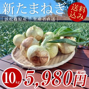 【A級品】野菜ソムリエサミット銀賞 新玉ねぎ 10kg 送料込み 5980円