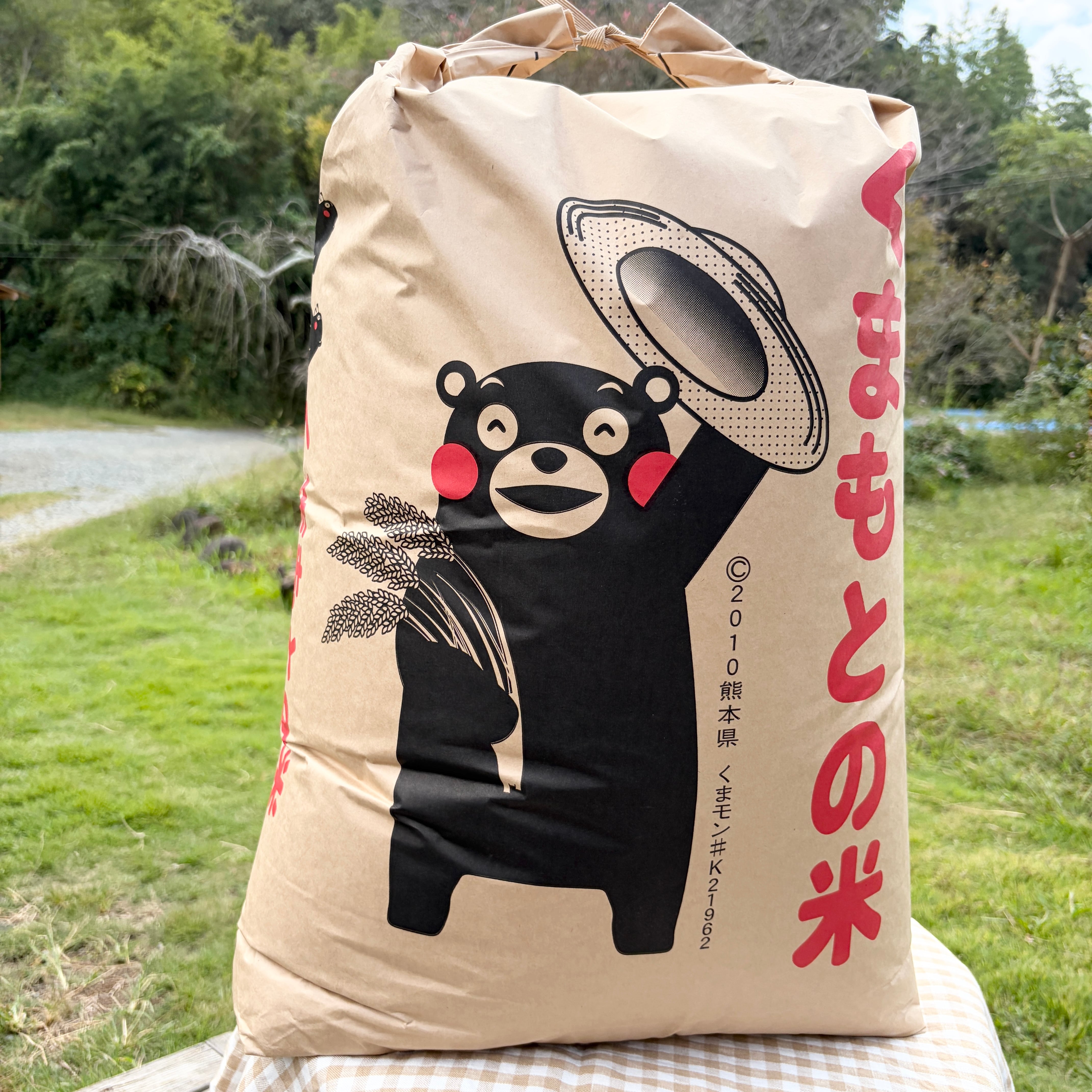 神宝塩 3キロ 一袋 塩 神宝塩 3Kg入り 【公式通販】