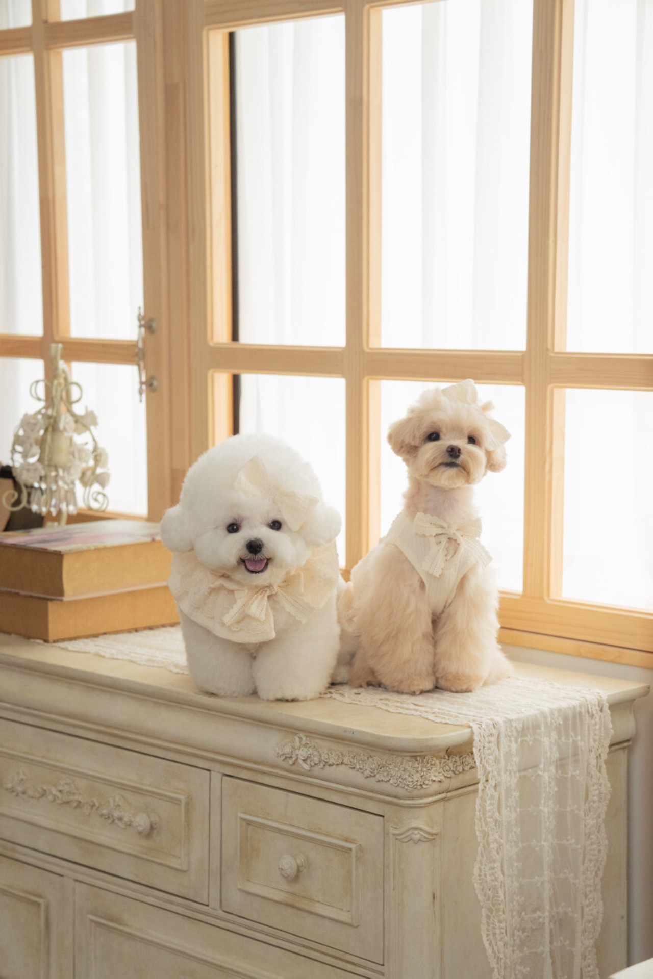 予約【pecoramou select】Cozy lace Cape