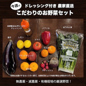 自家製ドレッシング付き農家直送こだわり野菜セット　10種類程度