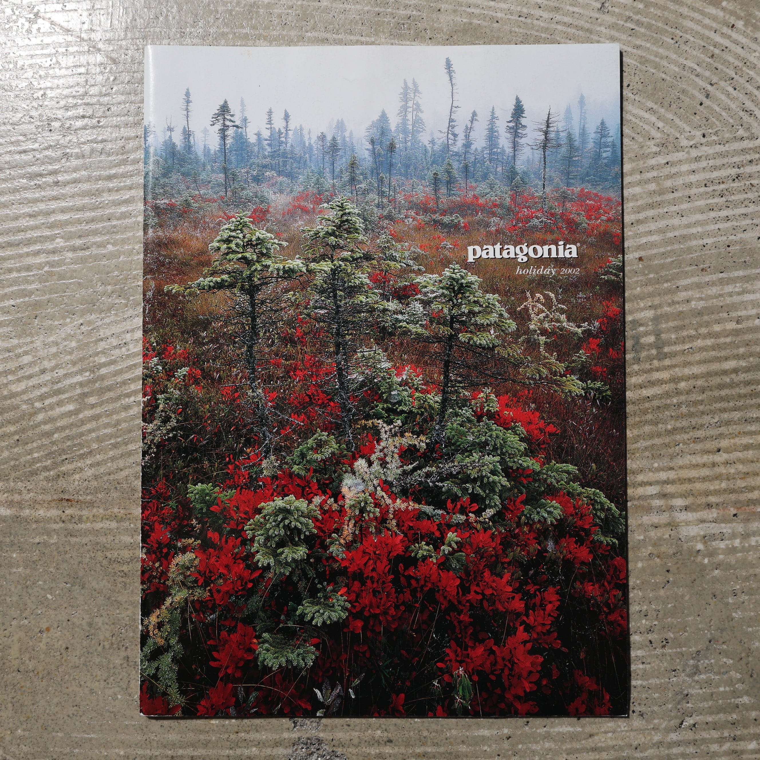 Patagonia | エンカウント