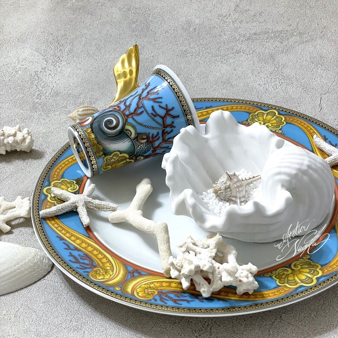 シャコ貝 シェル シリコンモールド | シリコンモールド・クレイ