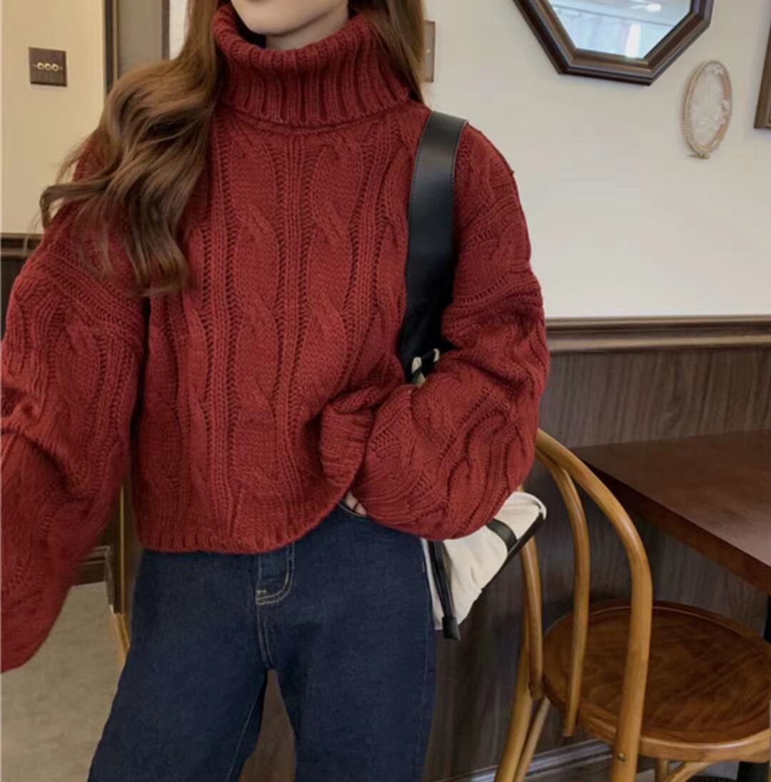 タートルネックケーブル編みニット
