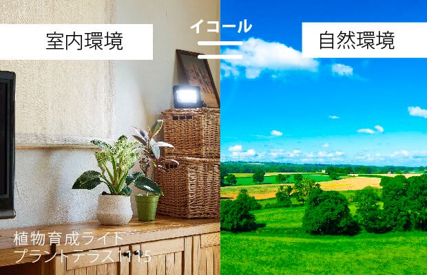 植物育成ライト プラントテラス1115 スタンド LED照明 太陽光 簡単
