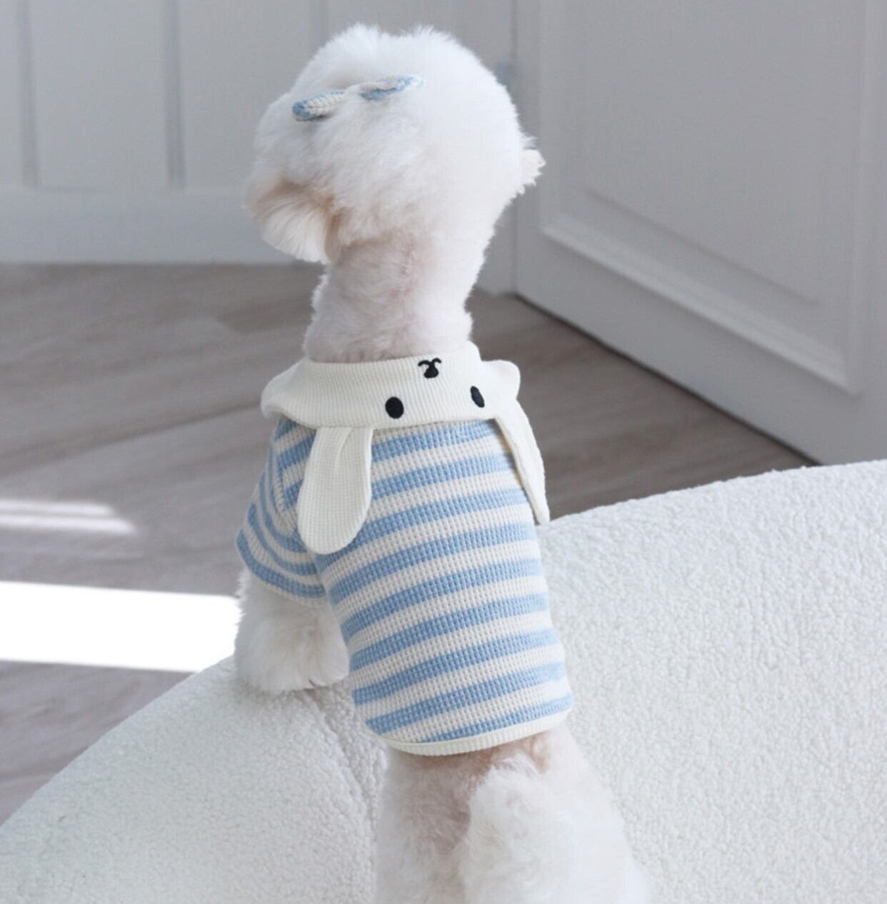 M/即納【tiolio】Waffle Rabbit Collar Tee《Blue》