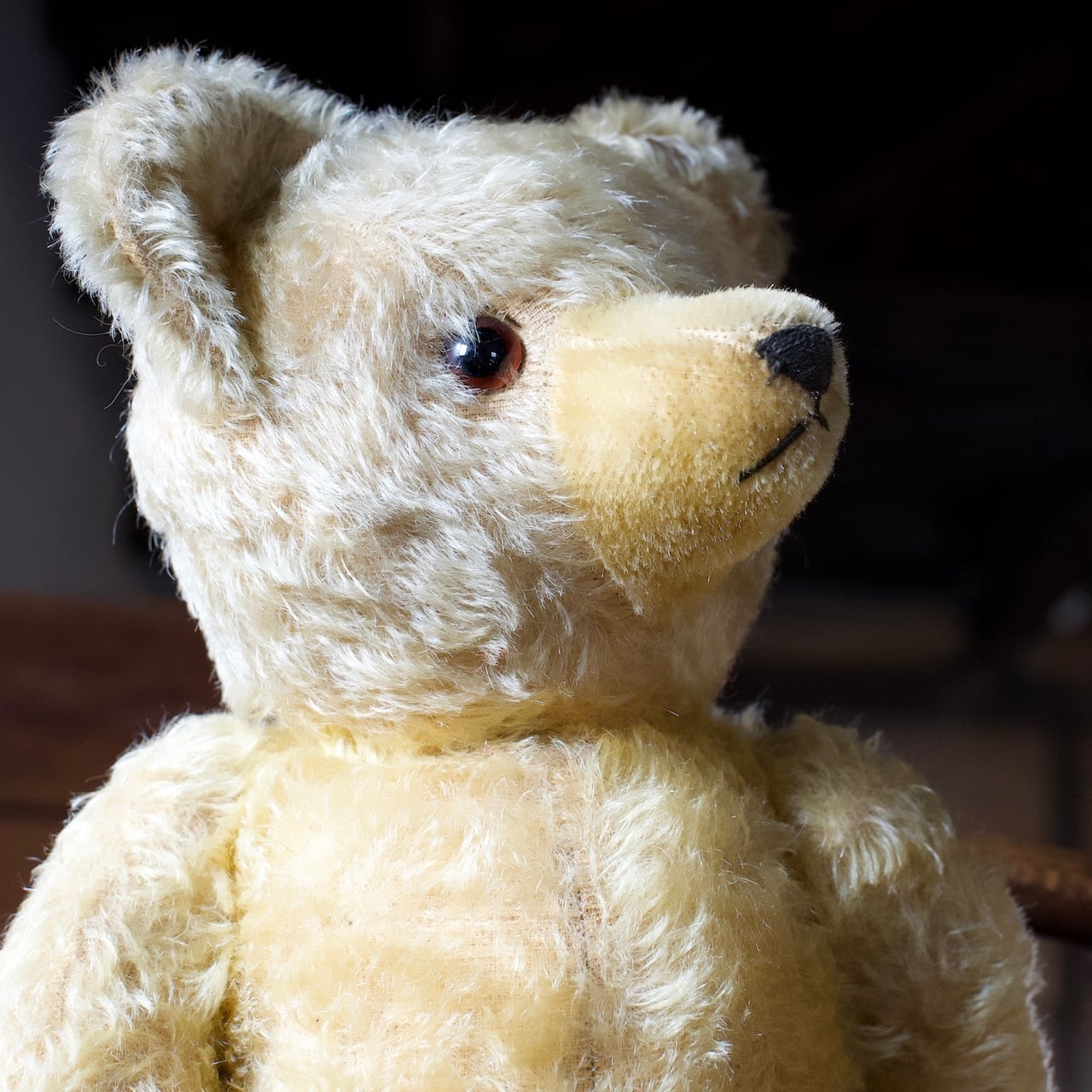 Teddy Bear / テディベア〈 ぬいぐるみ・くま・オブジェ Teddy Bear / テディベア〈 ぬいぐるみ・くま・オブジェ