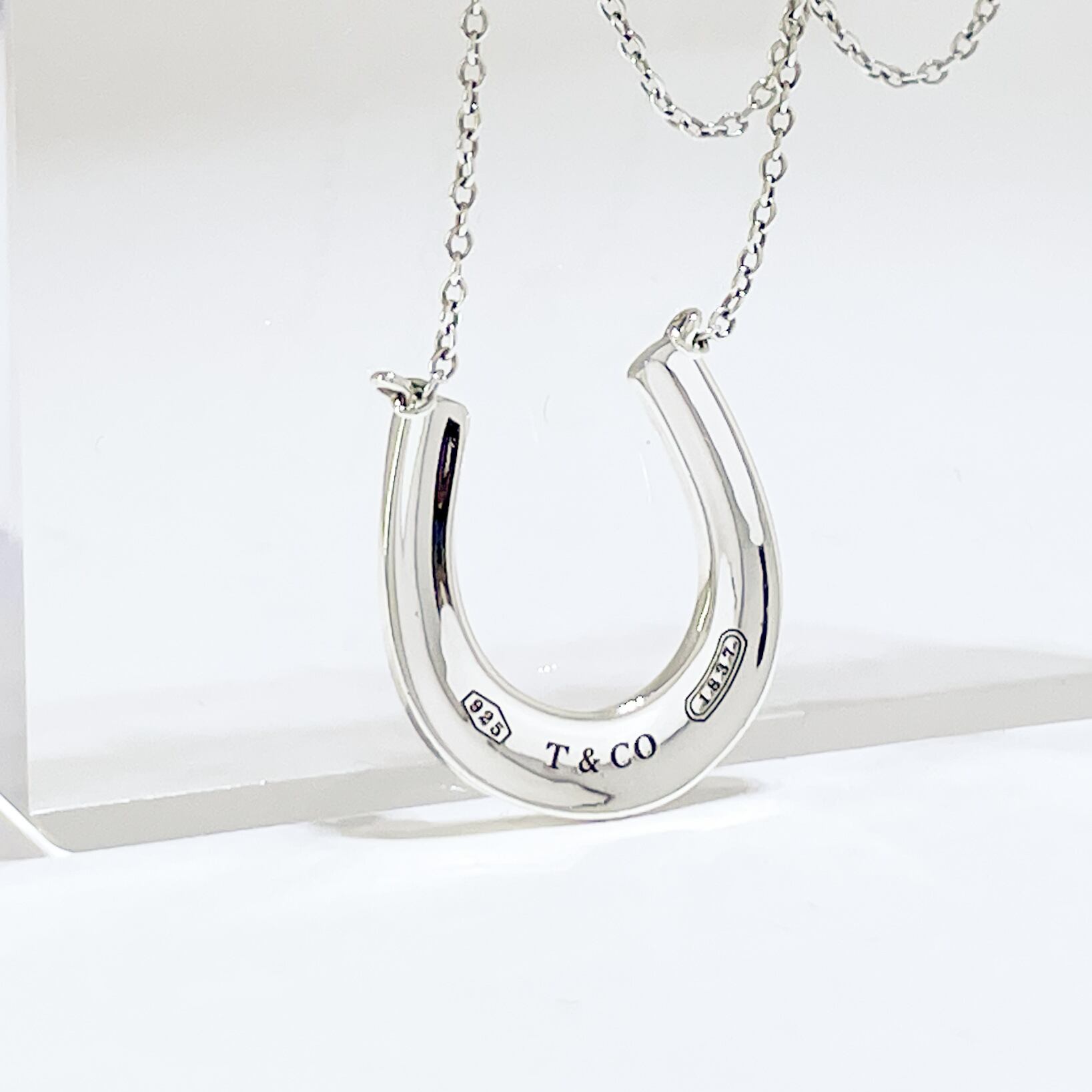 希少品Tiffany & Co. 馬蹄型ホースシューネックレス シルバー925