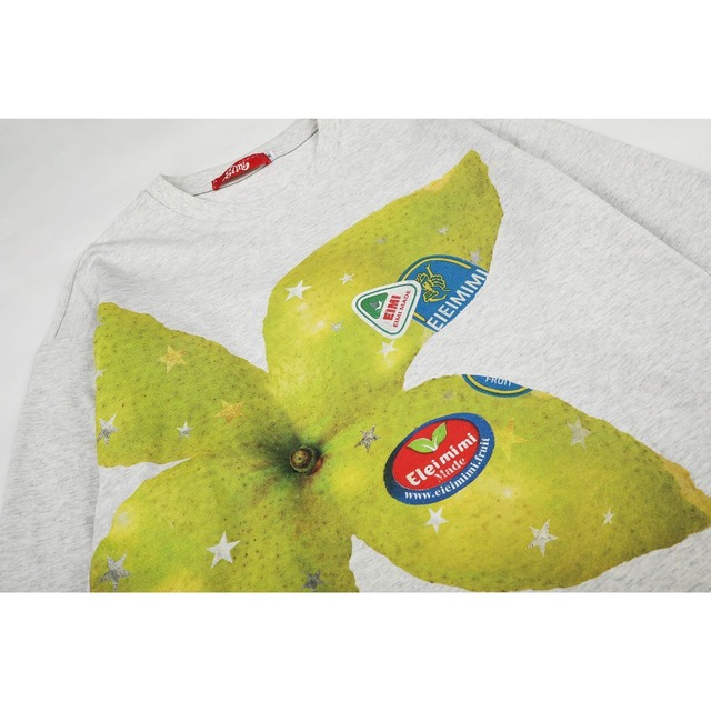 フルーツピールグラフィックプリントTシャツ 2col   R02833