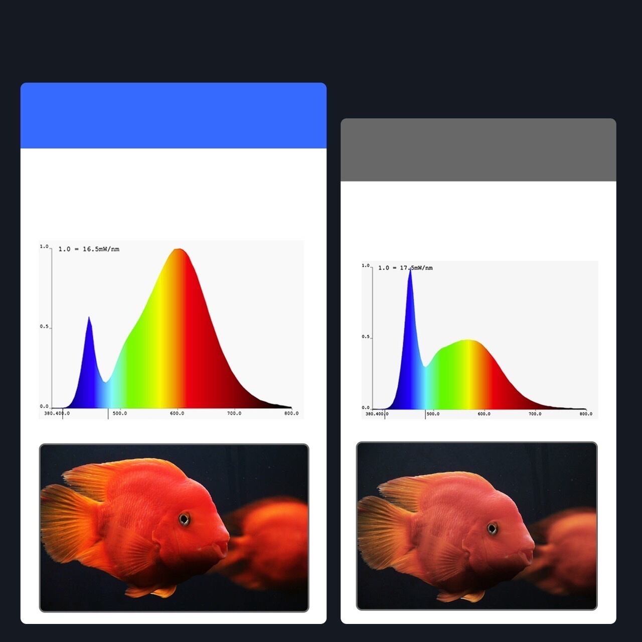 a9be83bd037de99490cdfeb91df082