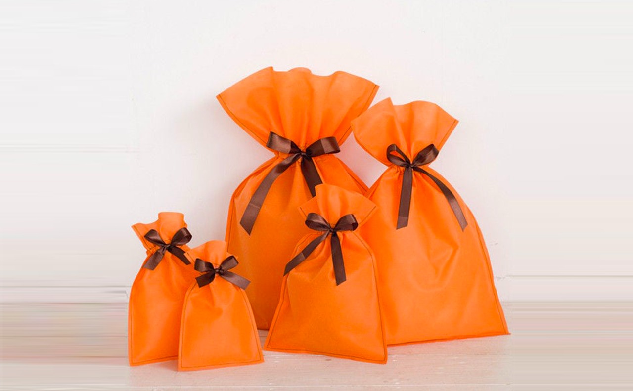 ギフトバッグ L