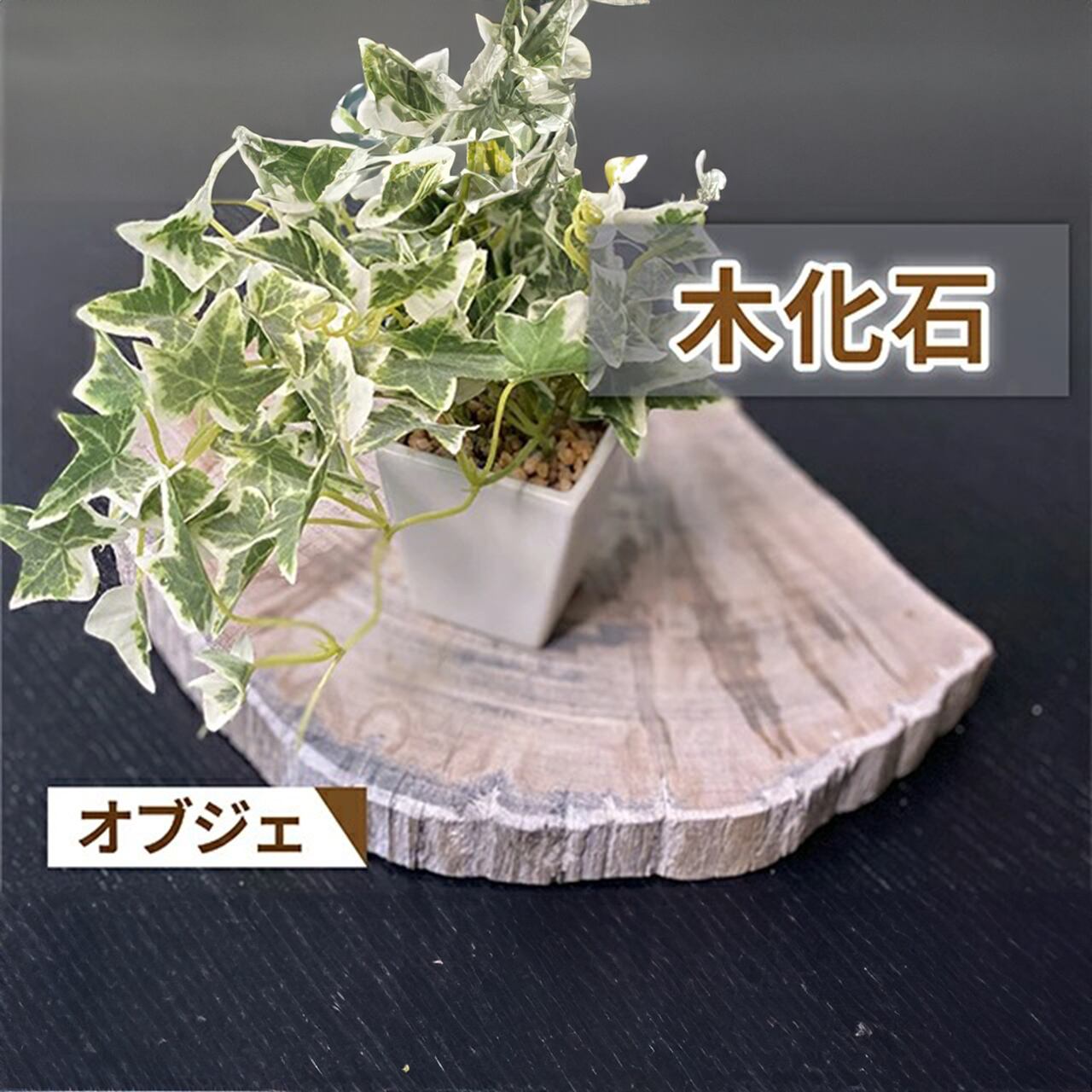 木化石】（ぼっかせき）オブジェ【中】送料無料 | 【公式】こころ