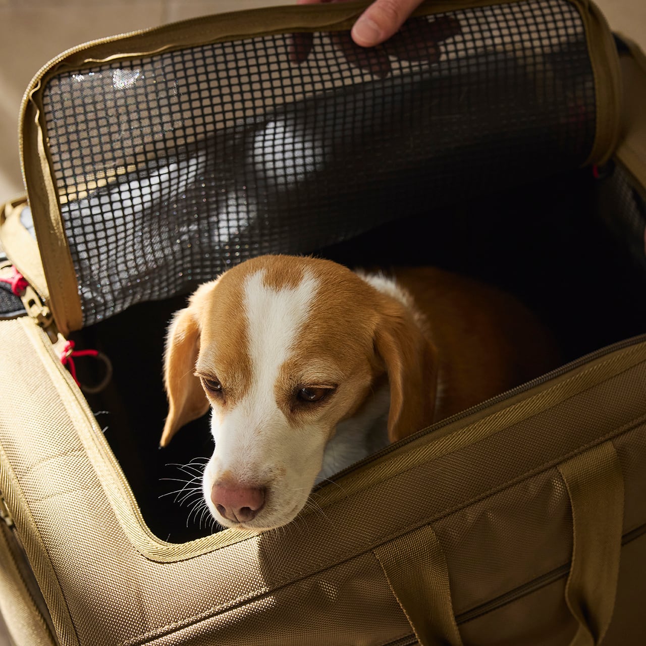 Renewal】BRIXTON CARRY BACKPACK −WIDE−（M）ブリクストンキャリー