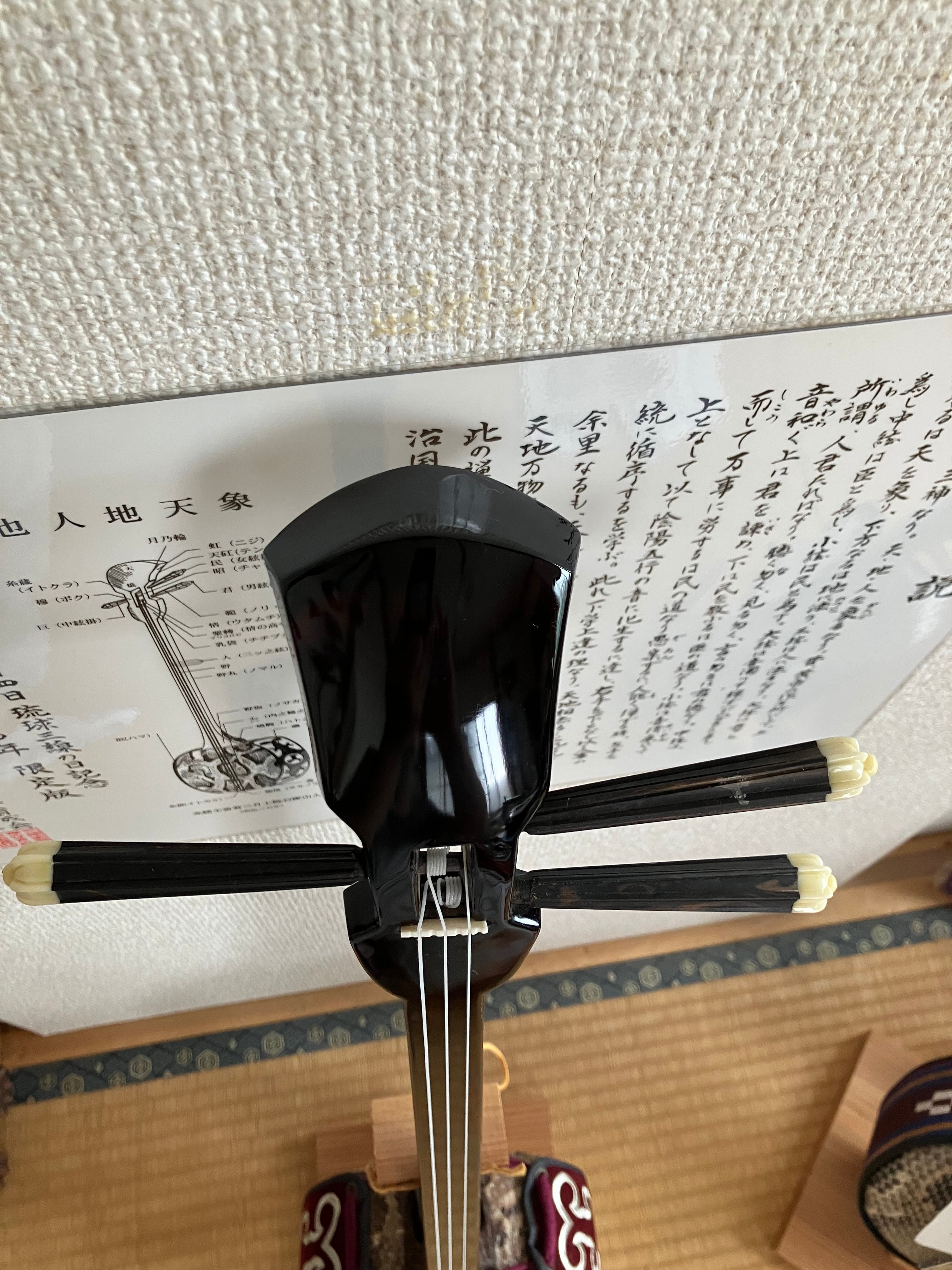 匠 工芸士仲嶺盛文作上級黒檀マカビ型スンチ仕上げ黄本皮 | クオレ三線