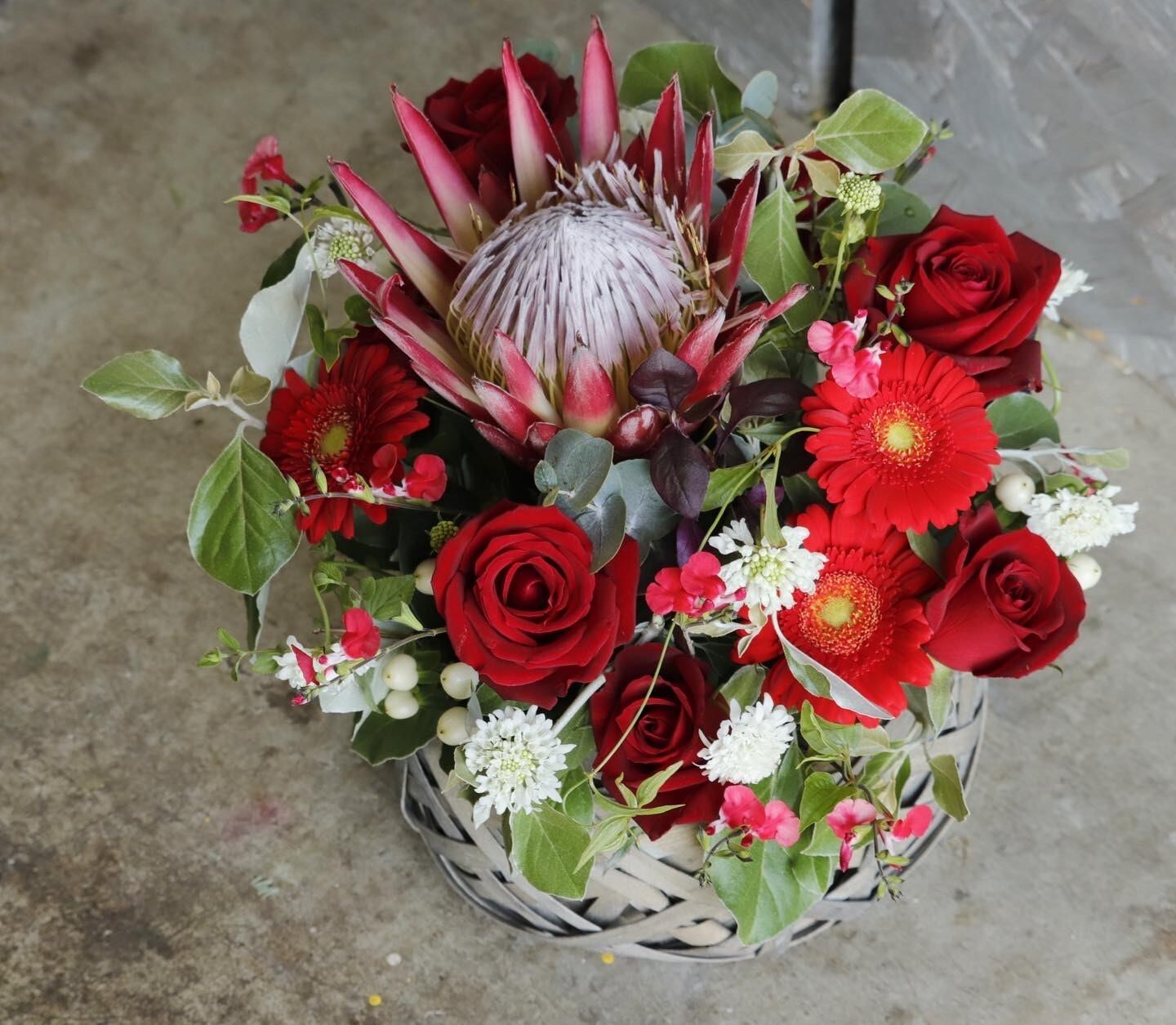 ❤最終　特大サイズ　薔薇アレンジ　バラ　ワインレッド　濃い赤 ラウンドアレンジメント 最終 特大サイズ 薔薇アレンジ バラ ワイン