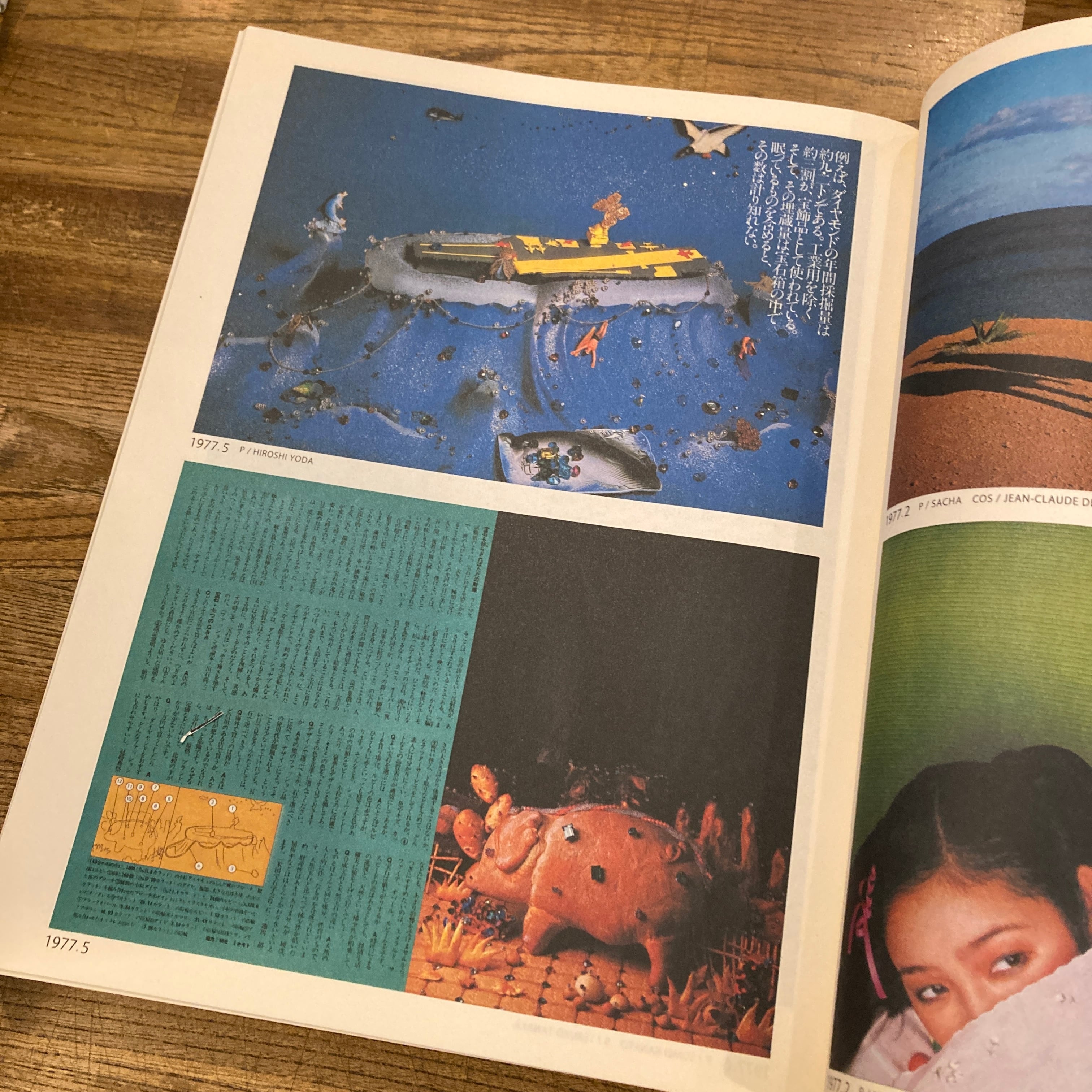 花椿ト仲條 Hanatsubaki 1968 - 2008 / アートディレクション 仲條正義
