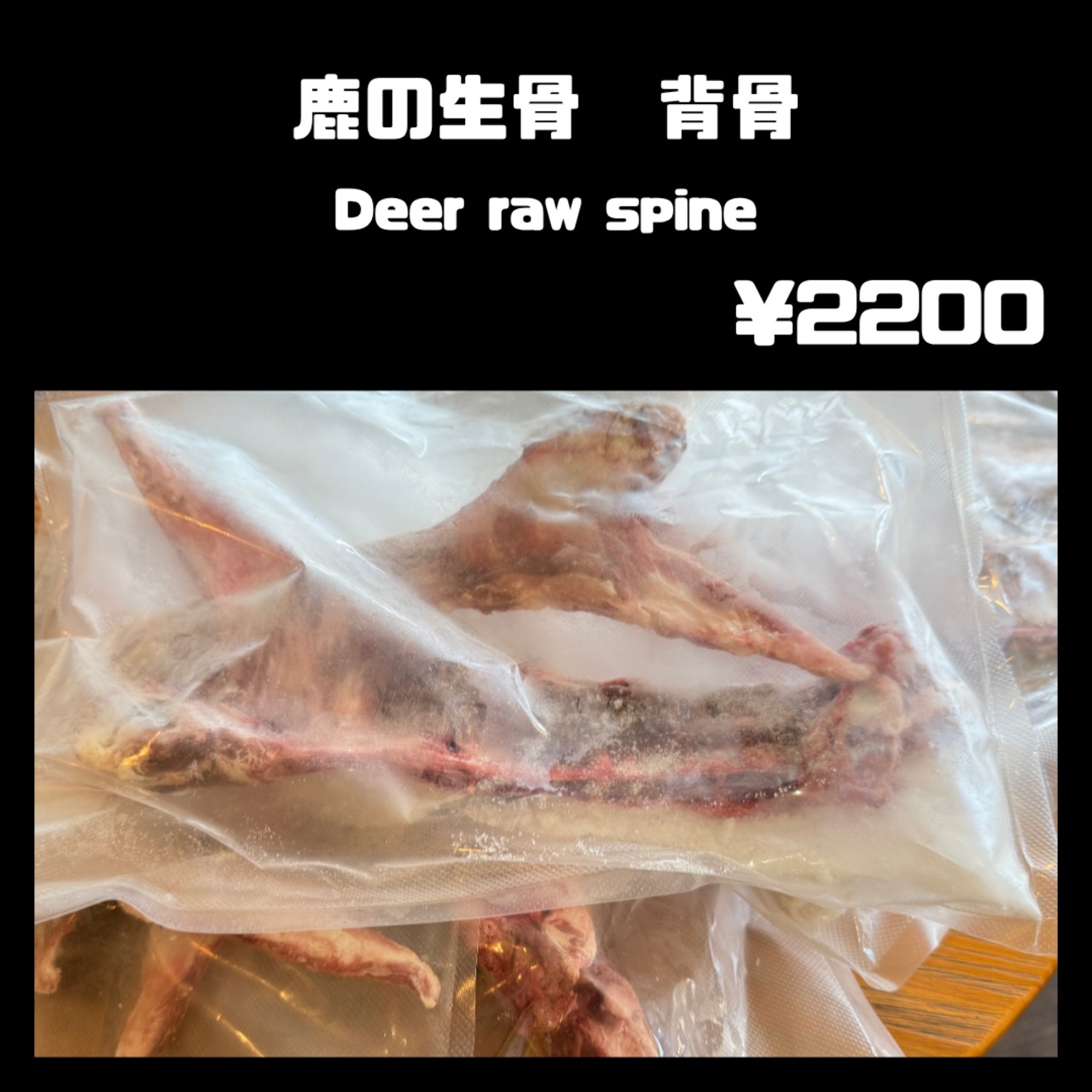 鹿の生骨 背骨