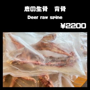 鹿の生骨 背骨