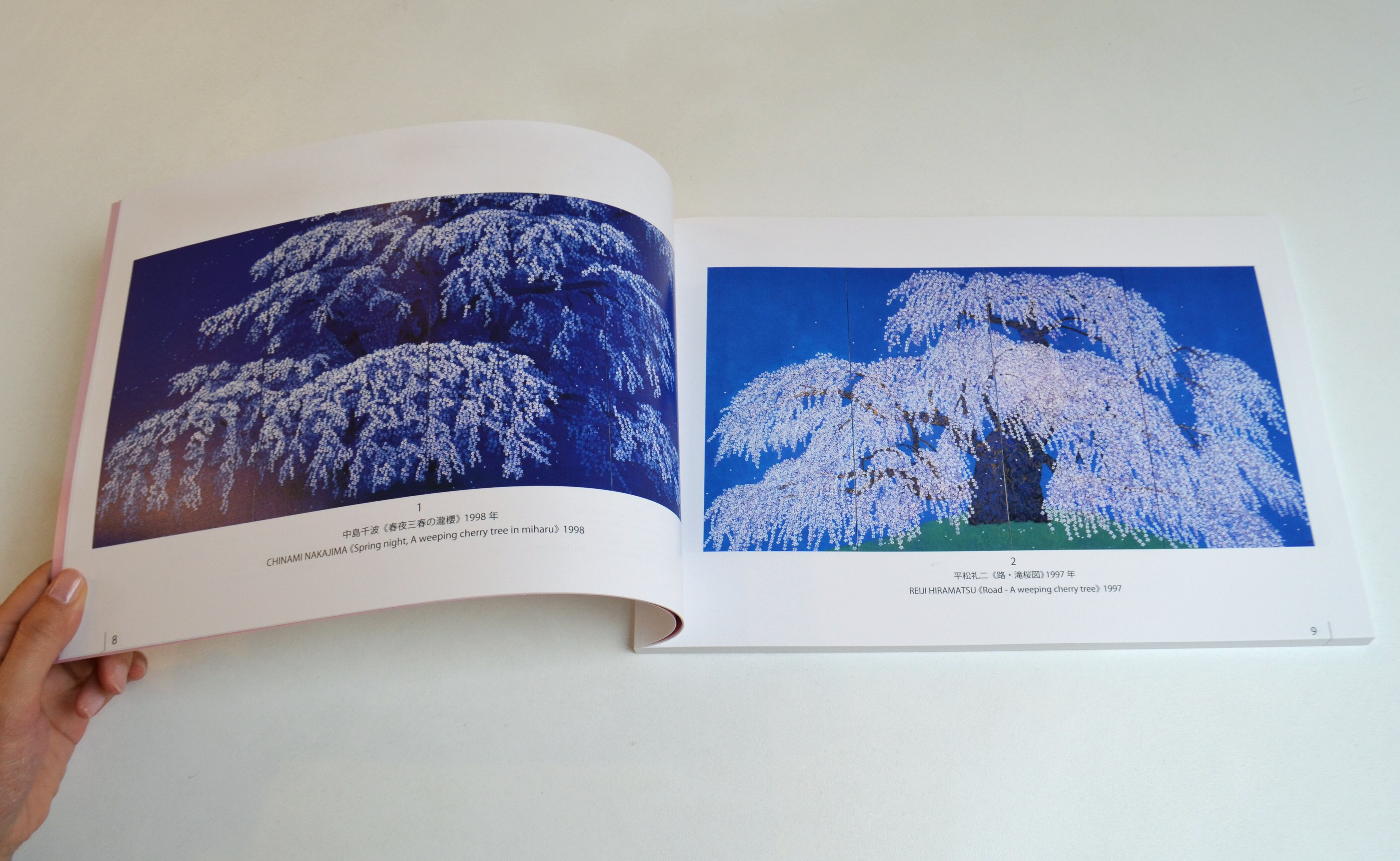 100 VIEWS OF SAKURA | Sato Sakura SHOP