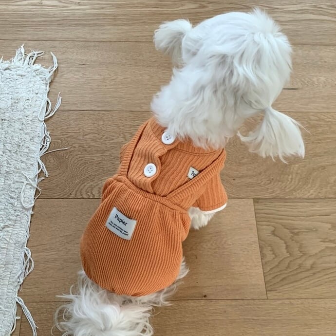 韓国犬服【papier】Raffia Work Back & Backpack papier】 | ropet
