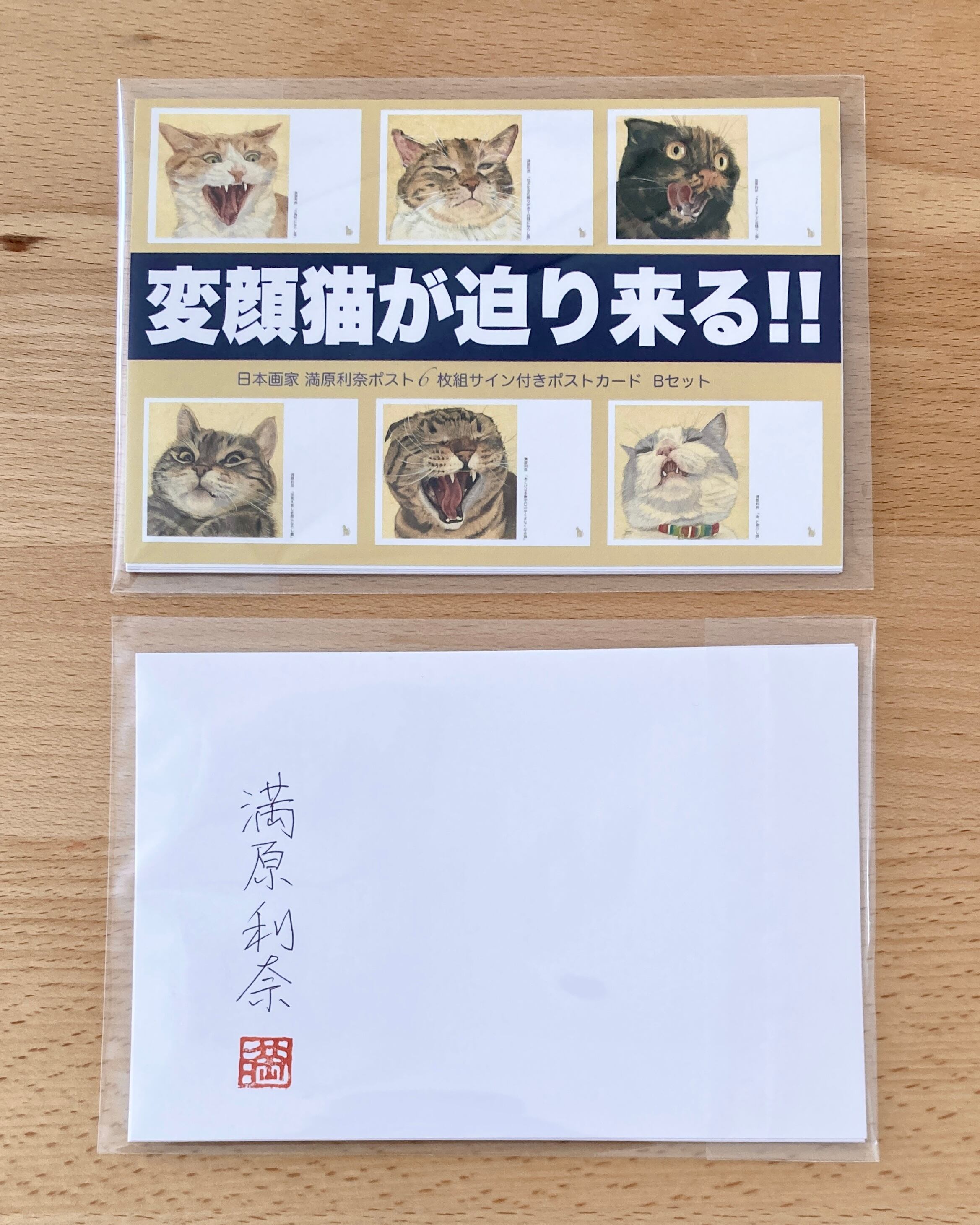 変顔猫が迫り来る‼︎】6枚組サイン付きポストカード Bセット | ﾈｺと