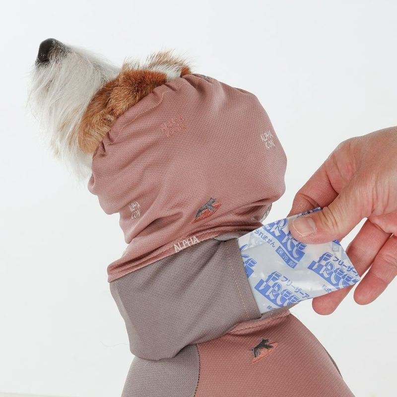 アルファアイコンドッグガードクールXL