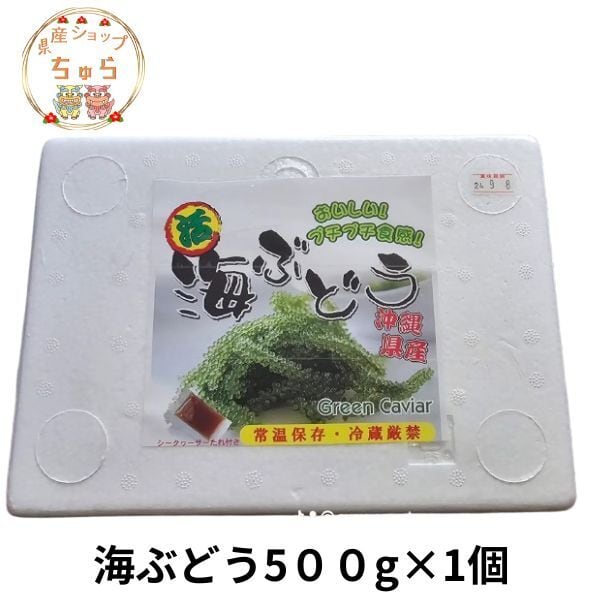 海ぶどう 500g みやぎ商店 沖縄 生海ぶどう 通販 | 県産ショップちゅら