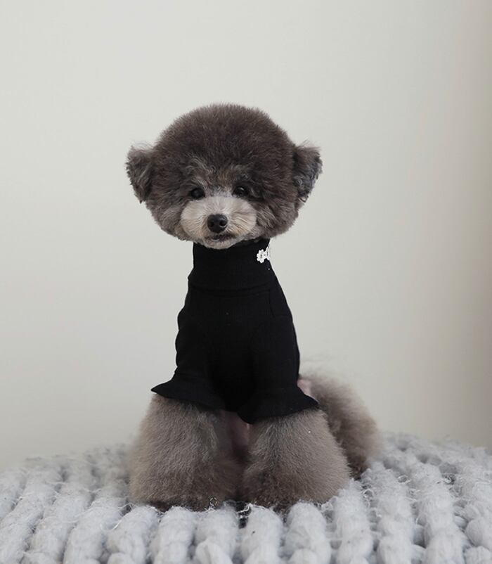 袖フリルネックポーラ S ~ XL 4color / 犬服 新作 秋冬 トップス 可愛い 犬の服 シンプル ペット洋服 ドッグウェア 犬 猫