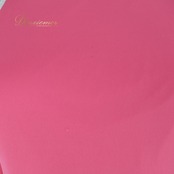 社交ダンス 衣装 ワンピース ドレス ピンク レース パーティドレス SORELI ソレリ 日本製 ピンク系 ホワイト系 柔らかい ダンス パーティ 発表会 ピンク ワンピース レースドレス パーティー服 社交ダンス服 ダンスウェア かわいい レディース 衣装発表会 おしゃれ 上品 フェミニン 柔らかい生地 日本製 レディースファッション