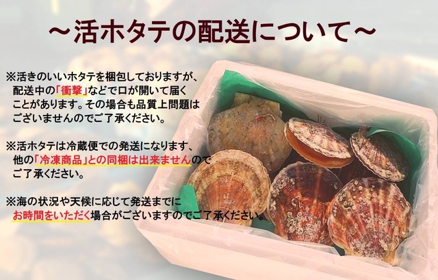 【今が旬‼︎】北海道野付産の特大活ホタテ　5kg詰め（15〜20枚入り）