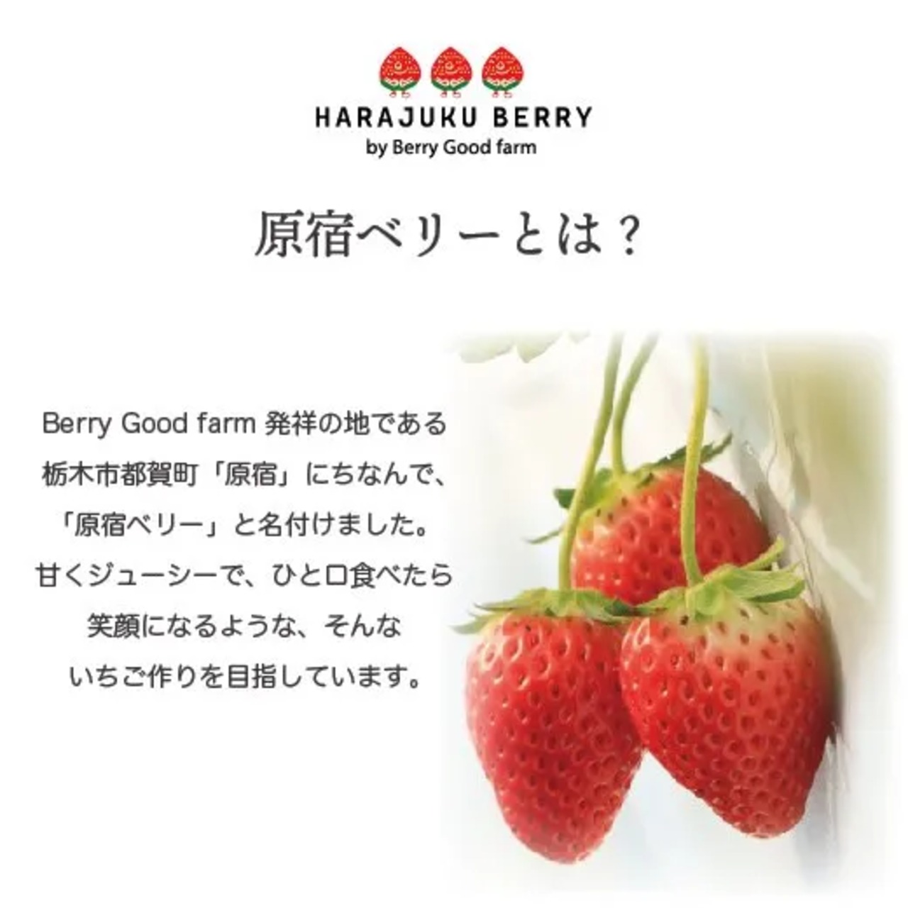 【一部地域へのお届け商品】完熟原宿ベリーのいちごゼリー＆ミックスゼリー （各3個　計6個入）【4月19日お届け分まで】