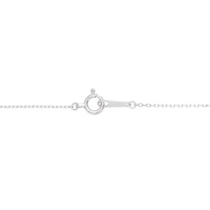 〈再入荷〉ダイヤモンドPtネックレス【WEB限定】 51878/52254