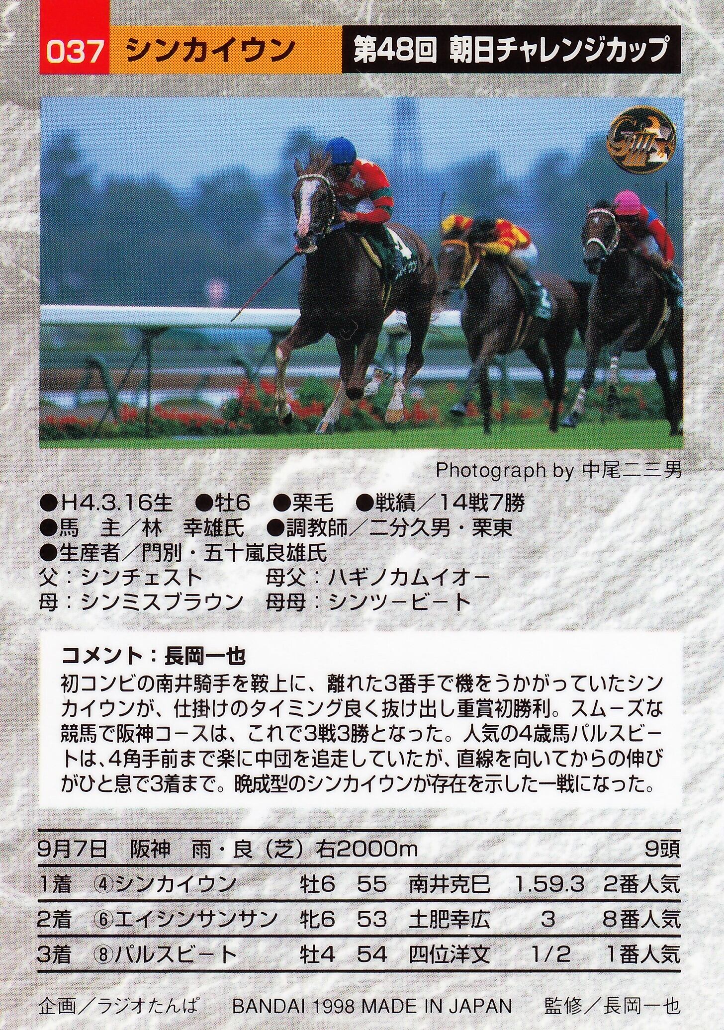 現地購入 単勝馬券 マチカネタンホイザ（菊花賞）（95ジャパンカップ 
