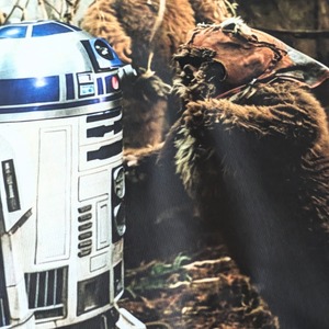 【 STARWARS / スター・ウォーズ  】『 WHERE DO THEY HIDE THE COOKIES? 』Ewok / イウォーク / Tシャツ〚アメリカン雑貨 アメトイ〛