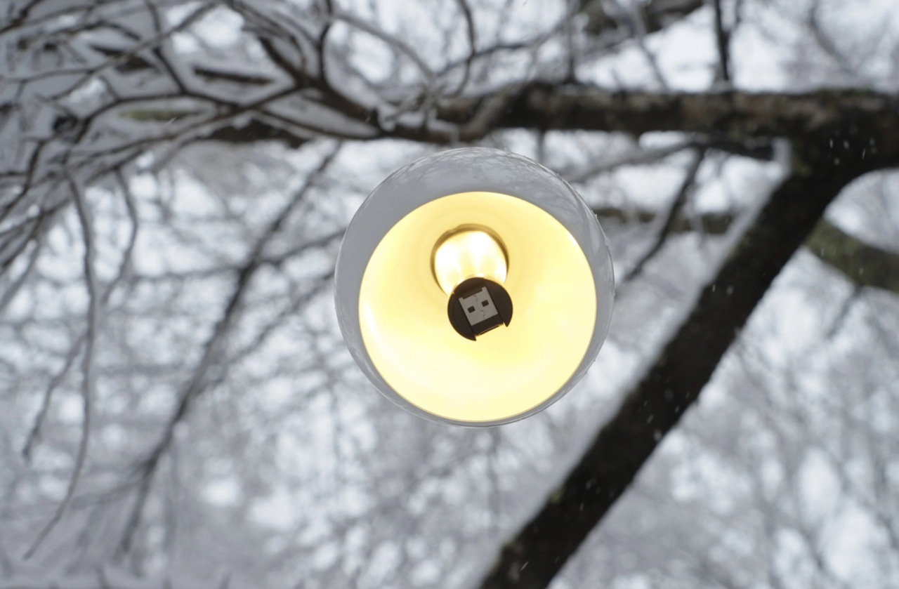 DOME LOOK WINTER LIMTED