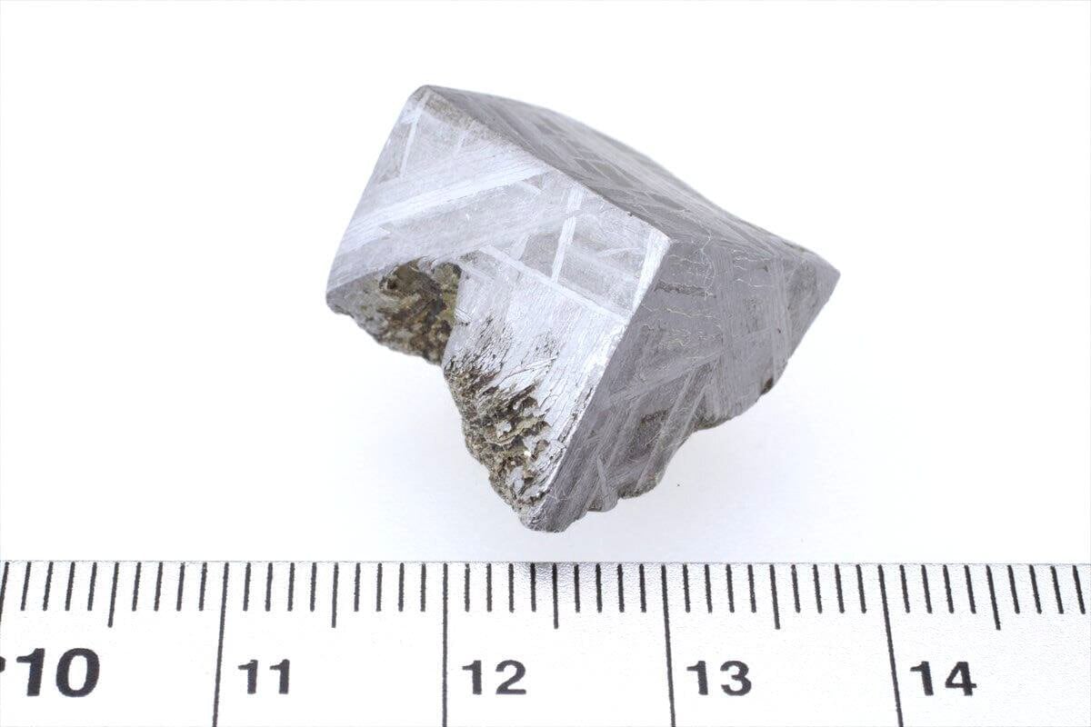 ムオニナルスタ ムオニオナルスタ 20.7g スライス 標本 鉄隕石 ムオニナルスタ ムオニオナルスタ 20.7g スライス 標本 鉄隕石