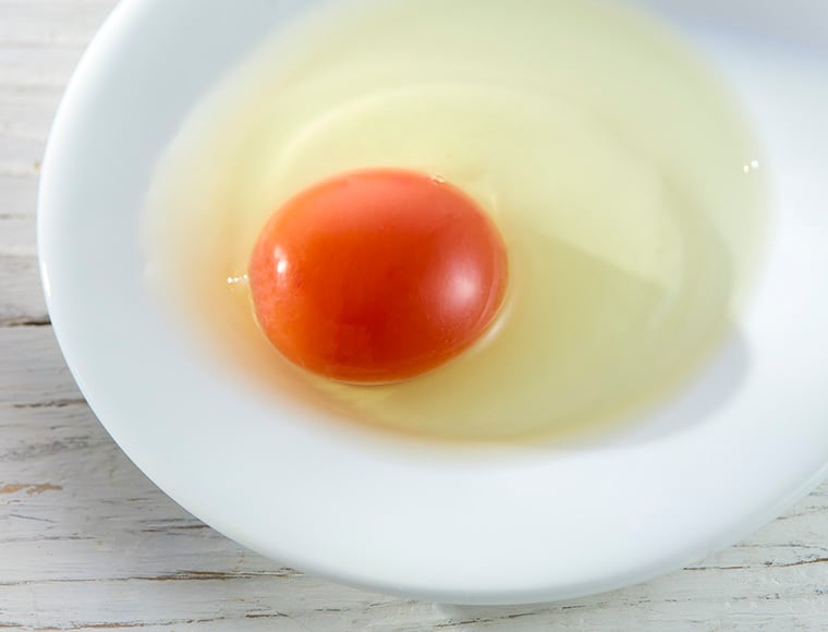 赤色卵形種子 5粒セット 十六代真っ赤卵（10パック）【ありがと割引付】 | AMALAND