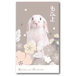 ペット名刺_長方形タイプ_モダン和花デザイン(1個50枚)_rec_h031-r