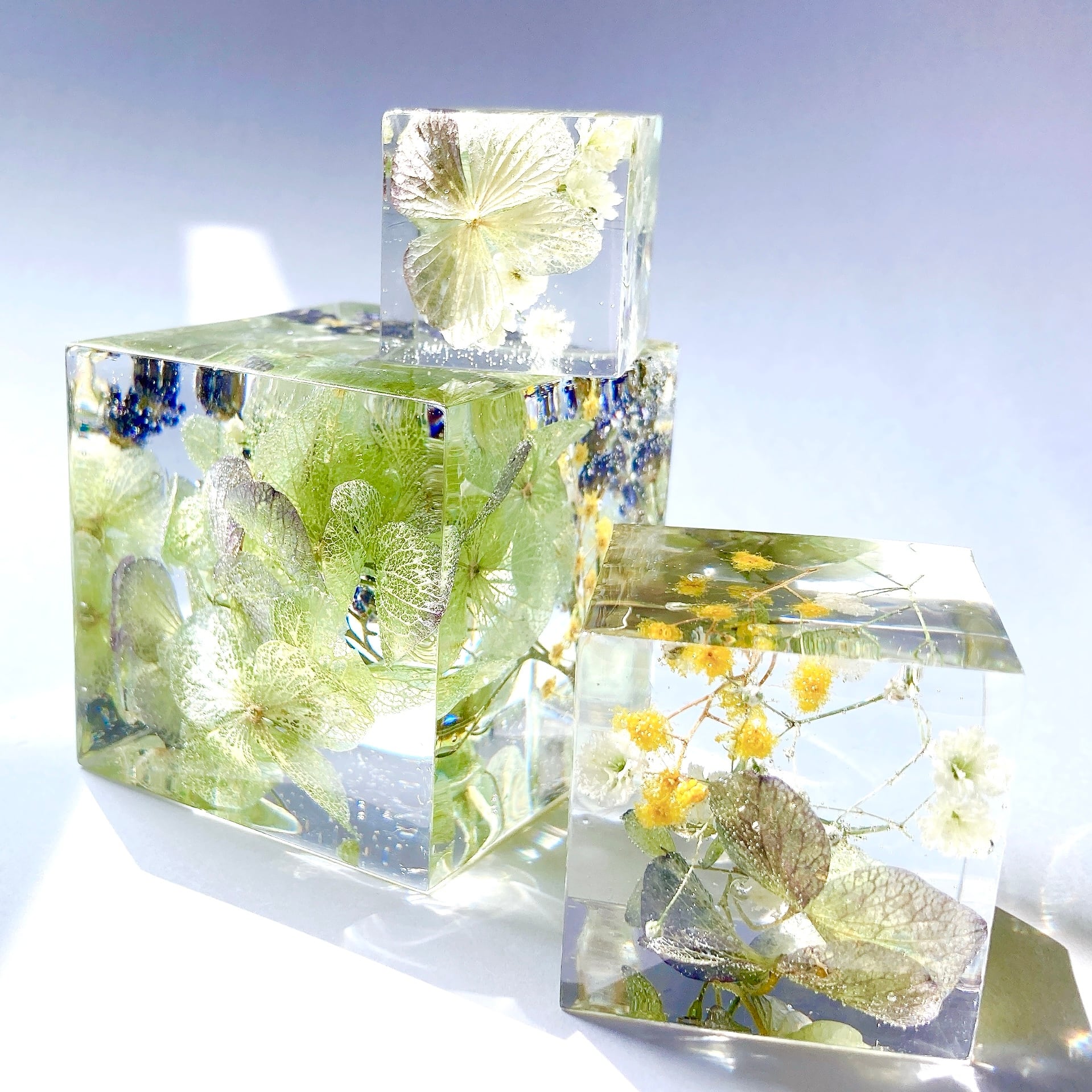 flower cube 【hydrangea】L