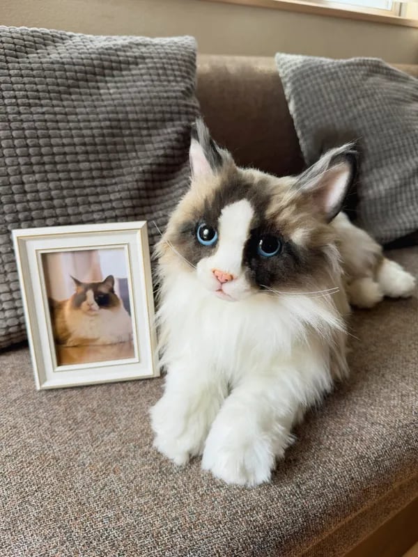 猫ちゃん】ペットそっくりオーダーメイドぬいぐるみ | GRAN CIEL