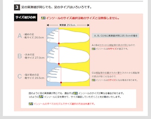 HOSHINO（ホシノ）B+インソール B+WH Winter Heat スキー スノーボード 吸湿発熱素材 温かい