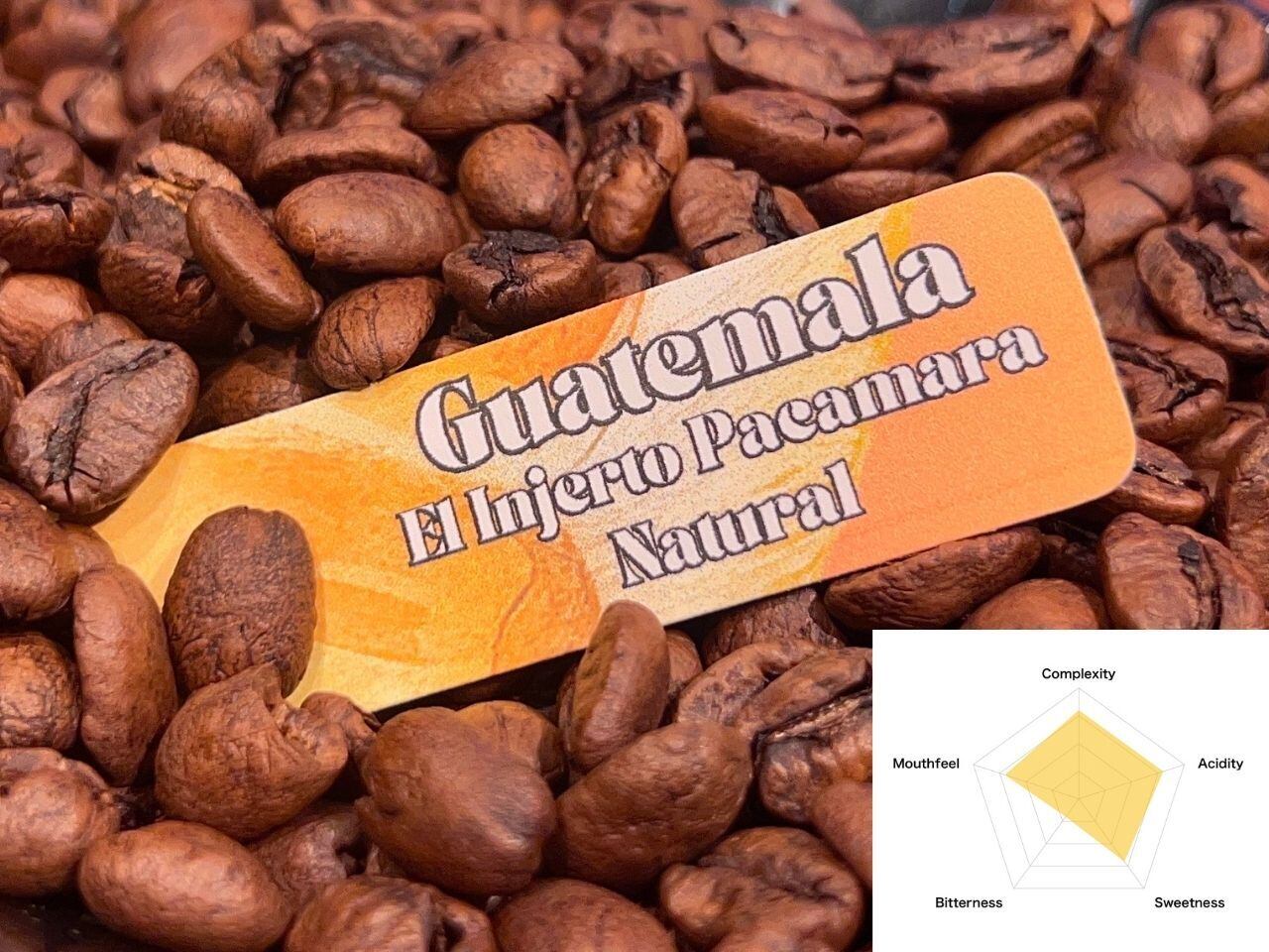 Guatemala El Injeruto Pacamara Natural｜Light Roast