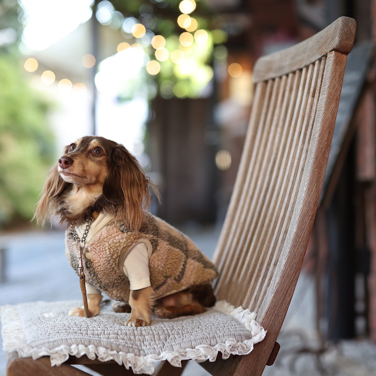 オーダーページ パネル スチームパンク ミニチュアダックス 9/18 スチームパンク | Hachinohe Base ~1518~