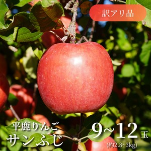 【訳アリ品】横手市平鹿町醍醐産「平鹿ふじ(サンふじ)・みしまふじ」[9～12玉]