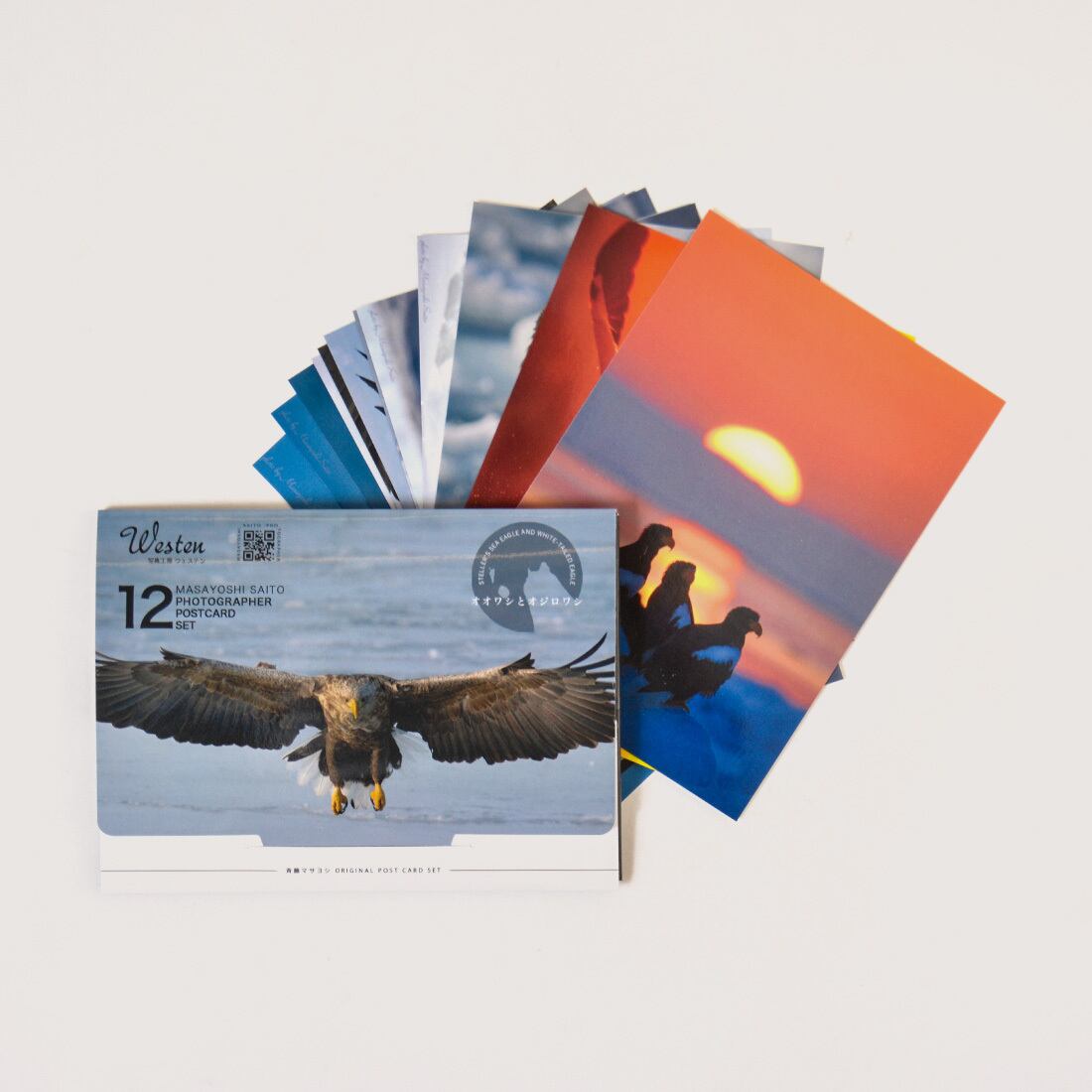 a9fbc3763ab2c8bc500d6a0a0b2112