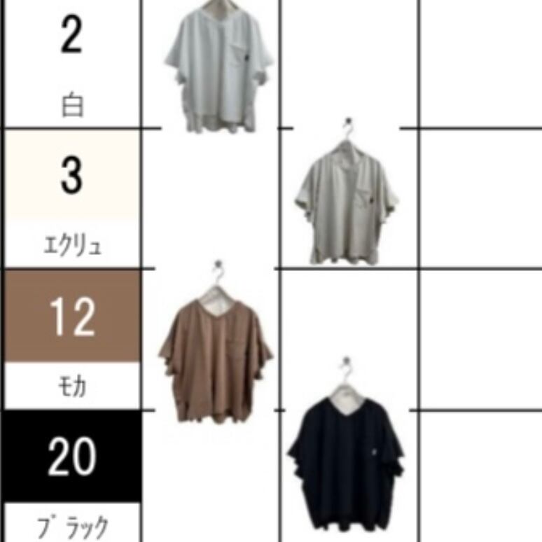 ayane【予約】ラッフルスリーブVネックTシャツ（N) | whispermusee