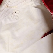 バレエ 衣装 まとめ売り セット チャコット Chacott チュチュ ジュニア 子供 ベロア チュール コンクール 発表会 パーティ 舞台 演劇 お揃い 赤白 青緑 チュチュドレス セットアップ 子供用服 衣装セット おしゃれ レッスン用 発表会衣装